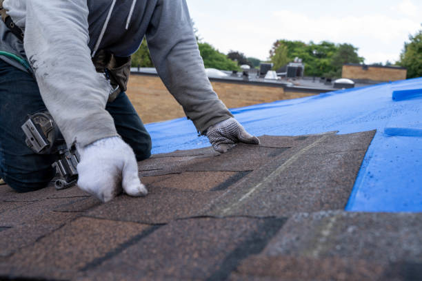 Best New Roof Installation  in Spurgeon, TN